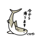 サメサメスタンプ（個別スタンプ：24）