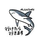 サメサメスタンプ（個別スタンプ：25）