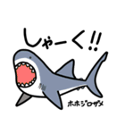 サメサメスタンプ（個別スタンプ：26）