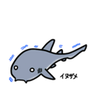サメサメスタンプ（個別スタンプ：34）