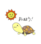 かめのぴーちゃん（個別スタンプ：1）