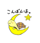 かめのぴーちゃん（個別スタンプ：2）