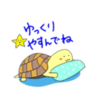 かめのぴーちゃん（個別スタンプ：6）