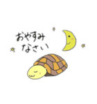 かめのぴーちゃん（個別スタンプ：7）