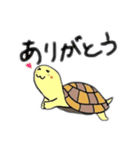 かめのぴーちゃん（個別スタンプ：9）