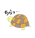 かめのぴーちゃん（個別スタンプ：12）
