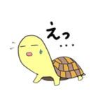 かめのぴーちゃん（個別スタンプ：13）