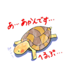 かめのぴーちゃん（個別スタンプ：15）