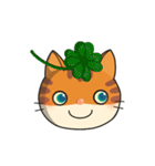 かわいい猫チャンボ❶  (絵文字)（個別スタンプ：3）