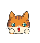 かわいい猫チャンボ❶  (絵文字)（個別スタンプ：7）