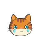 かわいい猫チャンボ❶  (絵文字)（個別スタンプ：24）