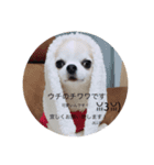 JILL@/（個別スタンプ：1）