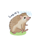 ハリネズミのカイとレイ part2（個別スタンプ：8）