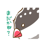 ことり（すずめぶんちょうキンカチョウ）（個別スタンプ：7）