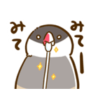 ことり（すずめぶんちょうキンカチョウ）（個別スタンプ：9）