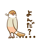 ことり（すずめぶんちょうキンカチョウ）（個別スタンプ：14）