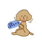 トイプのベルちゃん（個別スタンプ：5）