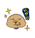 トイプのベルちゃん（個別スタンプ：8）