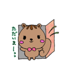 りすちゃんの毎日✰︎すたんぷ（個別スタンプ：9）