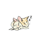 ねこのフラン＆スパン（個別スタンプ：6）