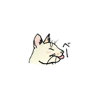 ねこのフラン＆スパン（個別スタンプ：7）