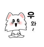 可愛い猫/(korea text version1)（個別スタンプ：2）