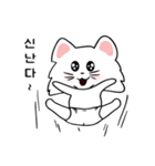 可愛い猫/(korea text version1)（個別スタンプ：7）