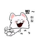 可愛い猫/(korea text version1)（個別スタンプ：8）