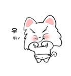可愛い猫/(korea text version1)（個別スタンプ：12）