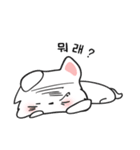 可愛い猫/(korea text version1)（個別スタンプ：15）