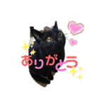 まめちゃん（日常編）（個別スタンプ：6）