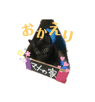 まめちゃん（日常編）（個別スタンプ：8）
