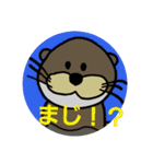 カワウソのそーたくん（個別スタンプ：11）