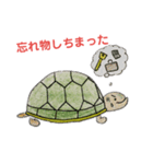 かめ部長（個別スタンプ：4）