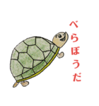 かめ部長（個別スタンプ：6）