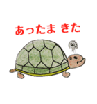 かめ部長（個別スタンプ：7）