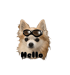 CHI HUA HUA  WOLF  2（個別スタンプ：1）