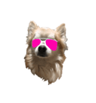 CHI HUA HUA  WOLF  2（個別スタンプ：4）
