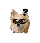 CHI HUA HUA  WOLF  2（個別スタンプ：6）
