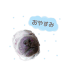 お空組（個別スタンプ：2）