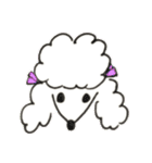 Toy poodle stamps (Rum)（個別スタンプ：2）