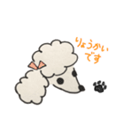 Toy poodle stamps (Rum)（個別スタンプ：22）