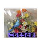 フラワーシャワー ②（個別スタンプ：4）