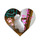 マロン3（個別スタンプ：5）