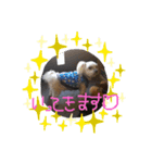 マロン3（個別スタンプ：6）
