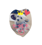 マロン3（個別スタンプ：8）