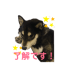 黒柴コクトーです（個別スタンプ：2）