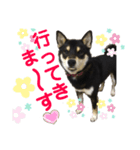 黒柴コクトーです（個別スタンプ：7）