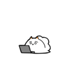 白いウミウシ（個別スタンプ：31）