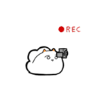 白いウミウシ（個別スタンプ：33）